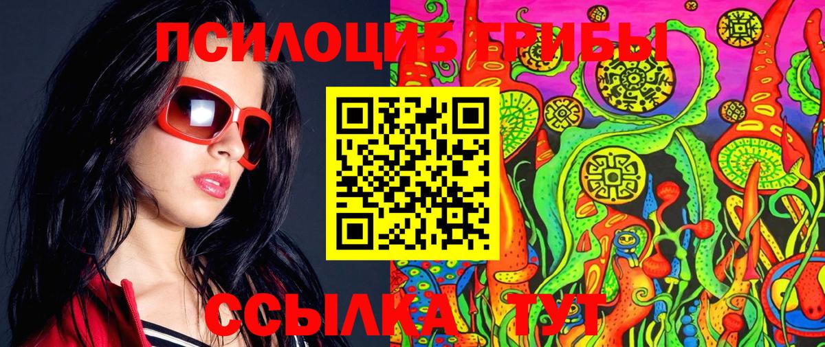 Псилоцибиновые грибы Psilocybine cubensis  Вход с VPN  Камышин 