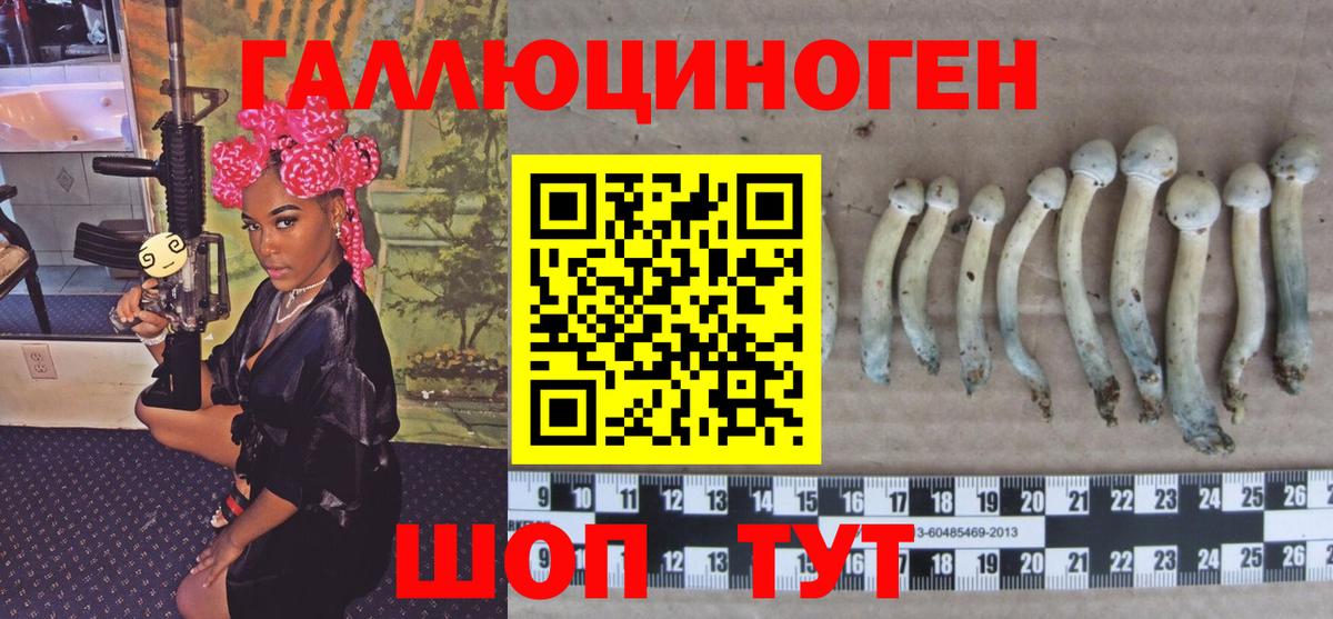 Псилоцибиновые грибы GOLDEN TEACHER Камышин