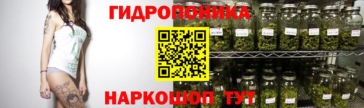 МАРИХУАНА конопля  Конопля марихуана  Камышин  Шишки марихуана тримм  Вход с VPN 
